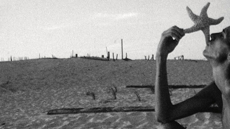 кадр из фильма My Very Beautiful Movie