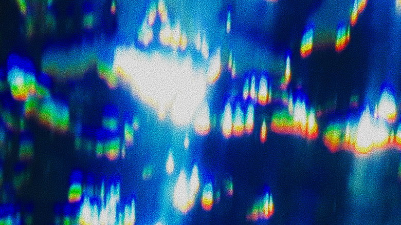 I Will Be A Fish For One Day