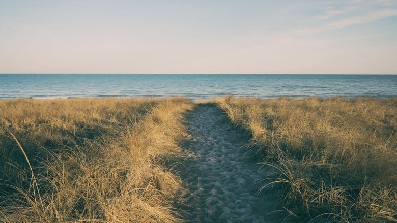 кадр из фильма West Michigan