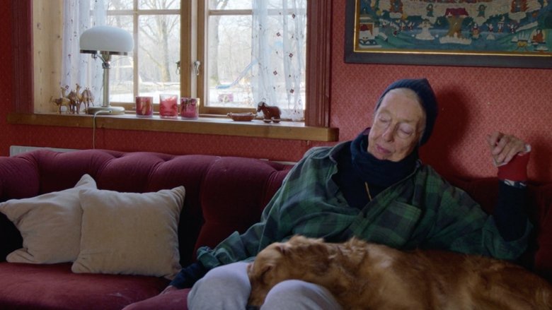 кадр из фильма Nina Hedenius - ett ögonblick i sänder