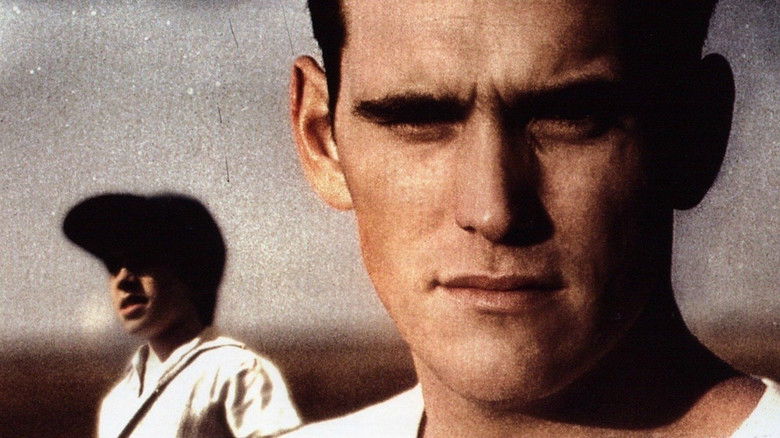 Звезды Фрэнки