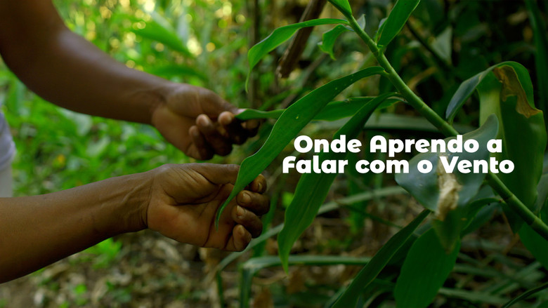 кадр из фильма Onde Aprendo a Falar com o Vento