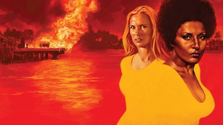 кадр из фильма Черная мама, белая мама