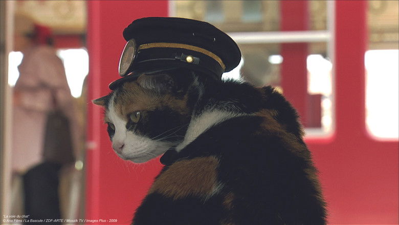 кадр из фильма La voie du chat