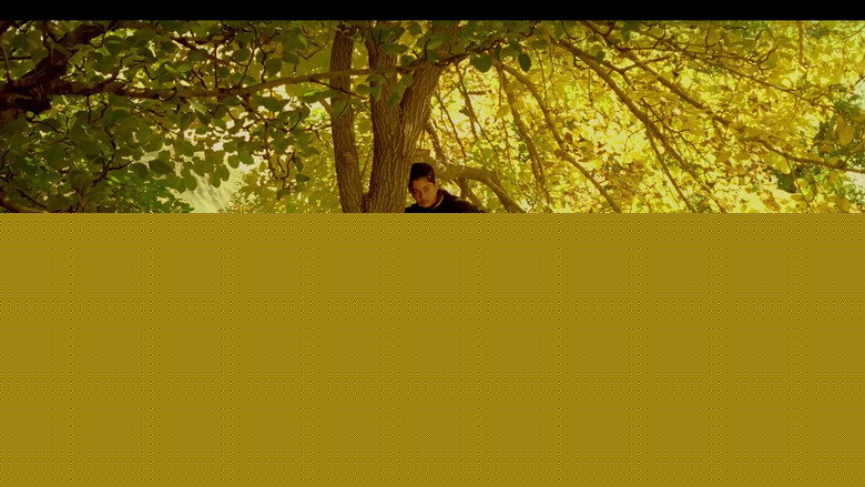 кадр из фильма درخت گلابی