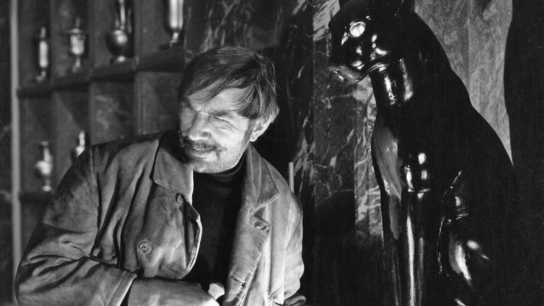 кадр из фильма The Black Cat