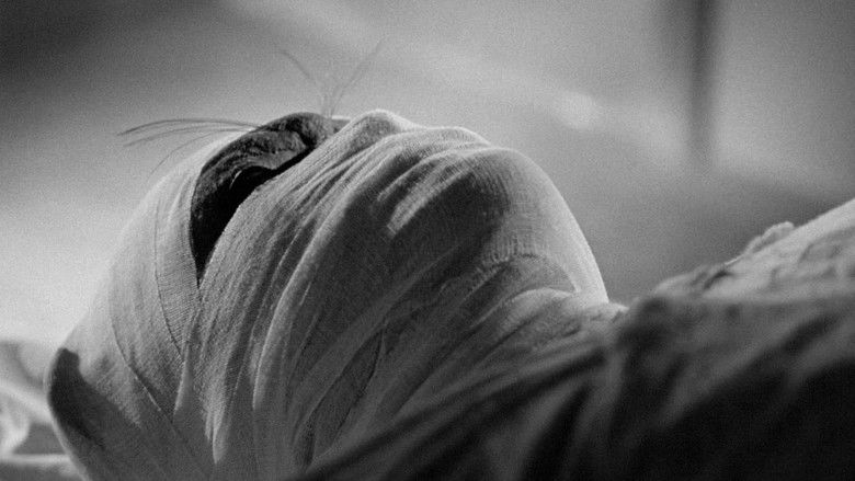 кадр из фильма Terror Is a Man