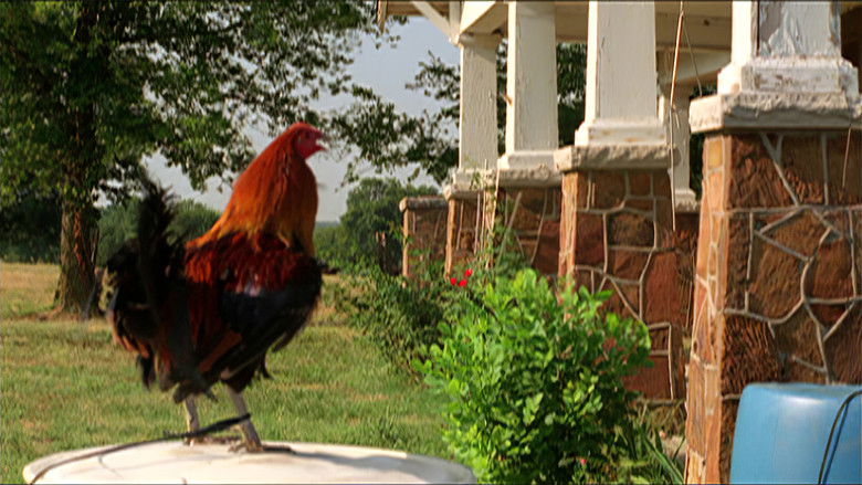 кадр из фильма The Round and Round