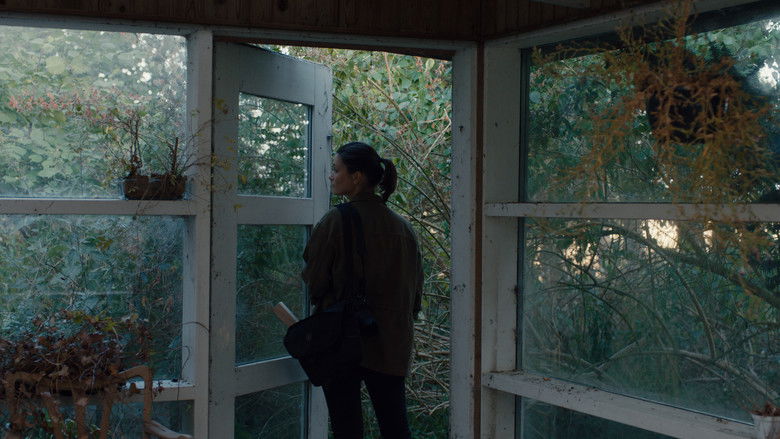 кадр из фильма Жираф