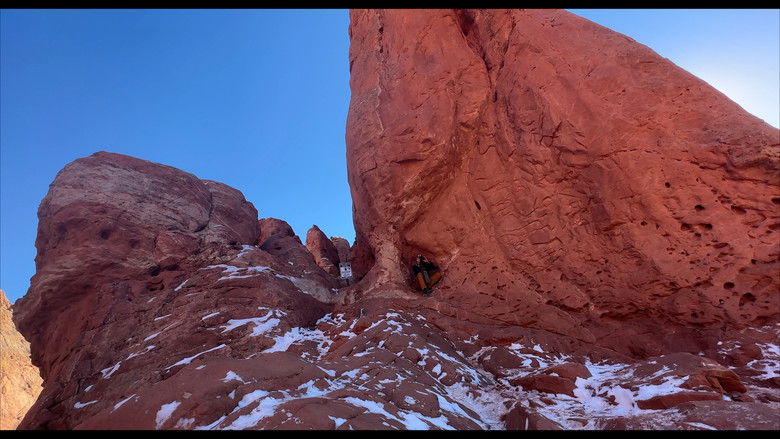 кадр из фильма Love in the Long Run