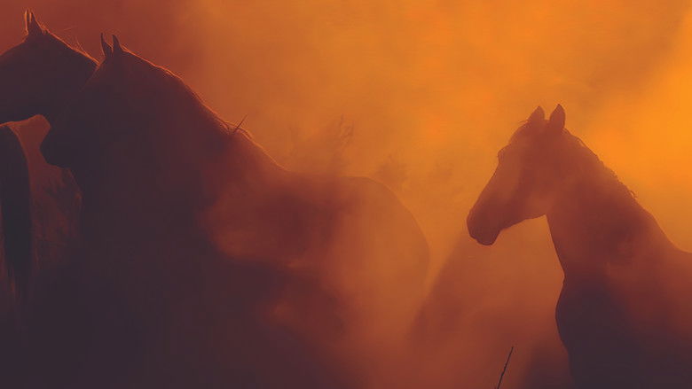 кадр из фильма Wild Beauty: Mustang Spirit of the West