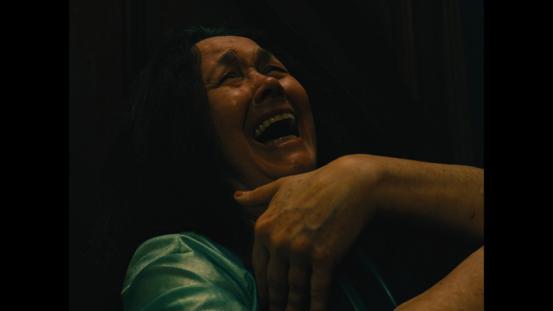 кадр из фильма INSANIAM