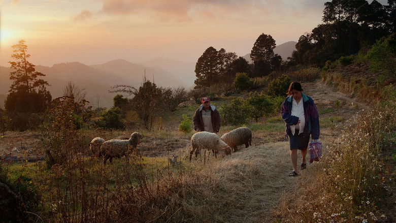 кадр из фильма Oc ni temiki (Sigo soñando)