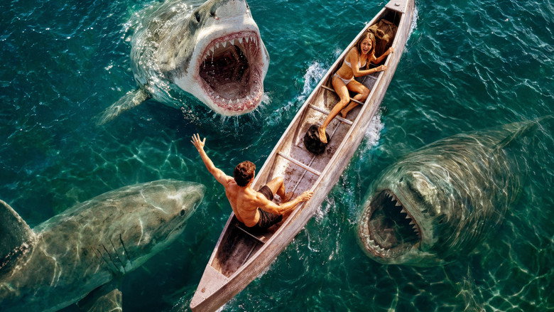 Shark Frenzy
