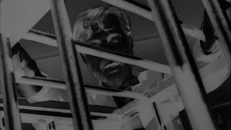 кадр из фильма Devil Doll