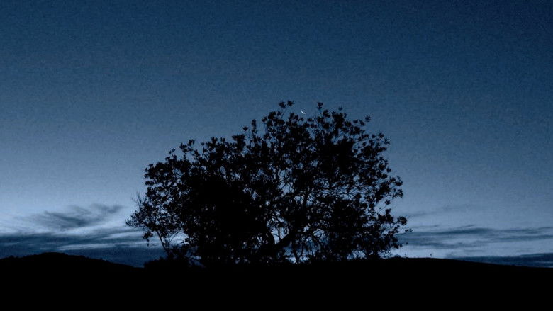 кадр из фильма Cerca de las Nubes