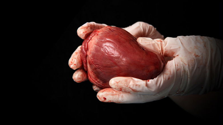 кадр из фильма State Organs: Unmasking Transplant Abuse in China