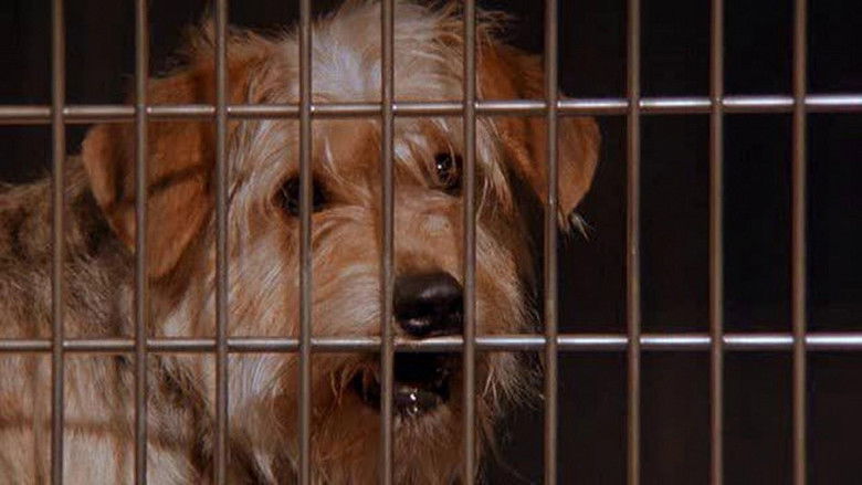 кадр из фильма Флюк