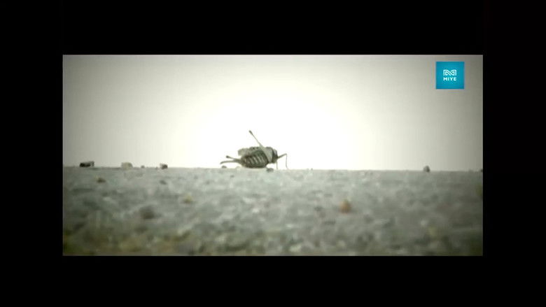 кадр из фильма Тушаал