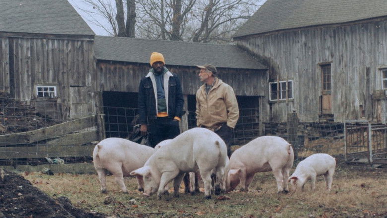 кадр из фильма Down with the King