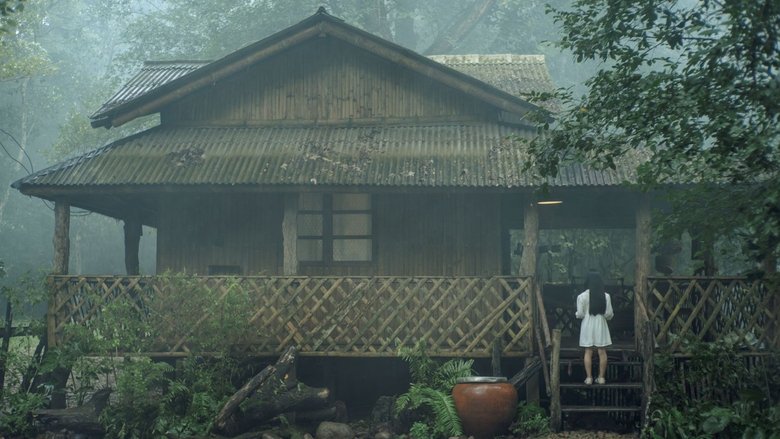 кадр из фильма Реинкарнация. Картины с того света