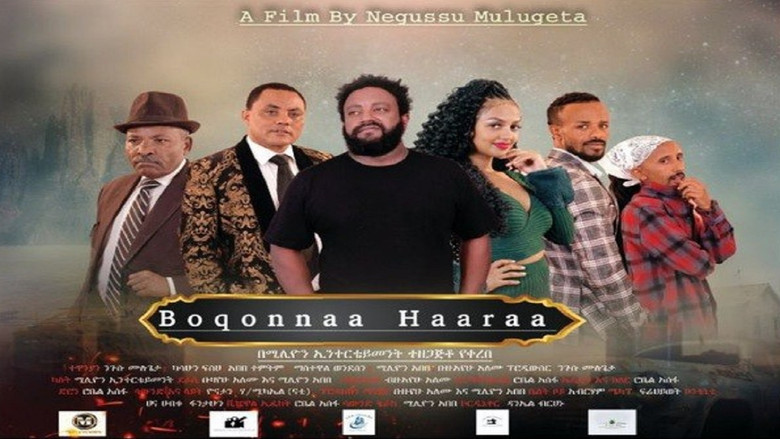 кадр из фильма Addis Meraf