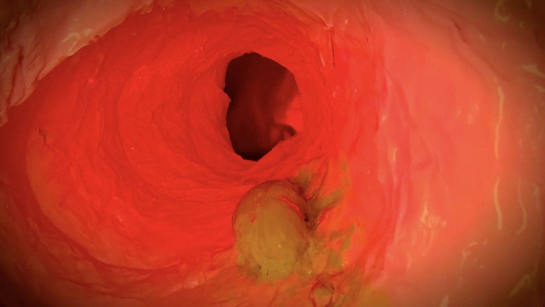 кадр из фильма Immaculate Perception