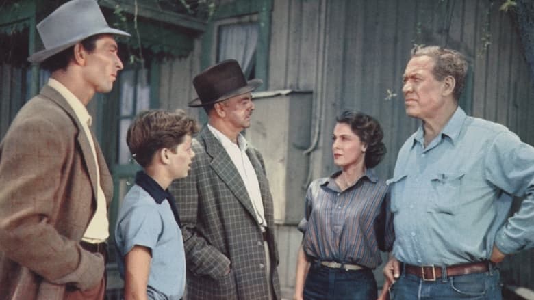 кадр из фильма Gypsy Colt