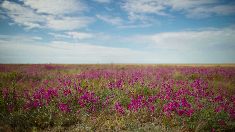 кадр из фильма Ray Martin: Mysteries Of The Outback