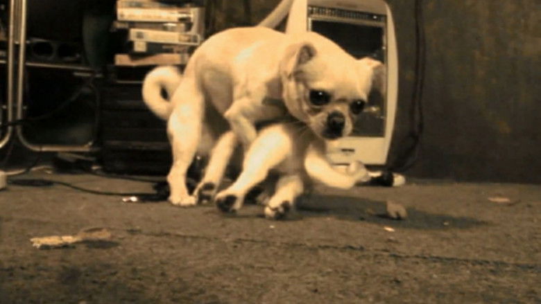 кадр из фильма El mate amargo