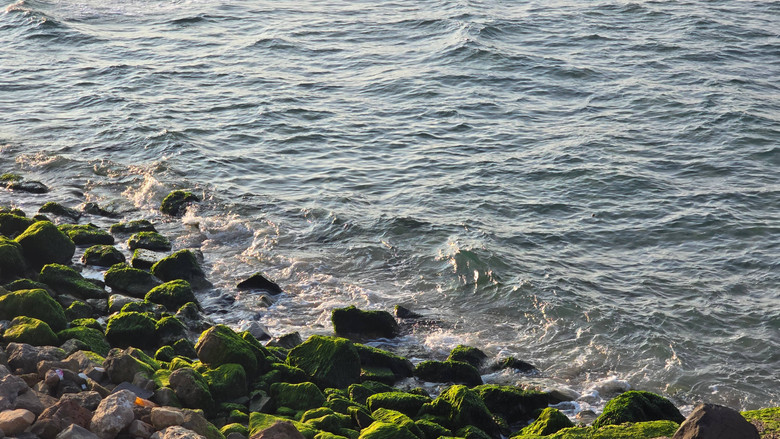 кадр из фильма قصائد حب الجزء الثاني: الإسكندرية