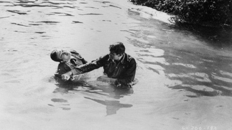 кадр из фильма Stampede