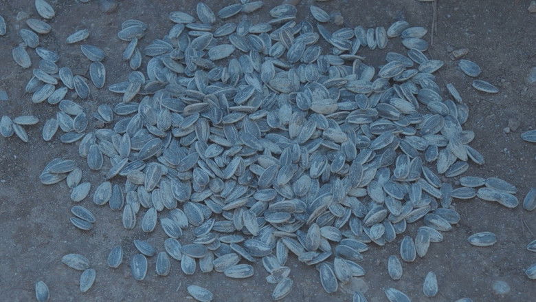 кадр из фильма Plastic Love