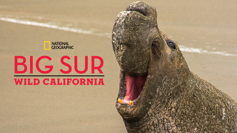 кадр из фильма Big Sur: Wild California