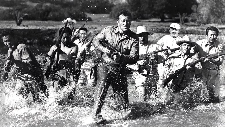 Возвращение на Батаан