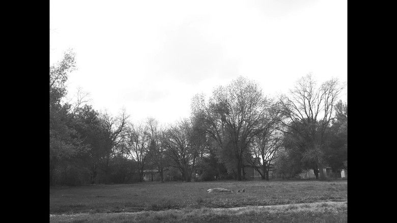 кадр из фильма I Have Trouble Being Alone For Too Long