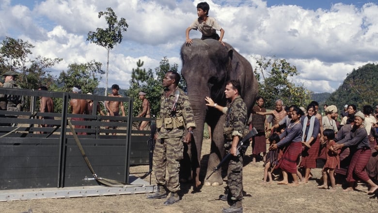 Операция «Дамбо»