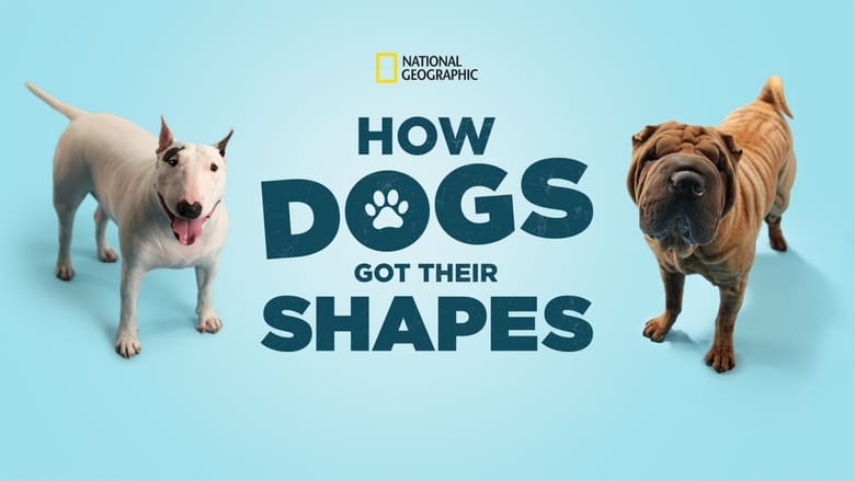 кадр из фильма How Dogs Got Their Shapes