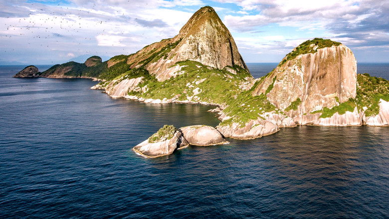 кадр из фильма Brasil Azul