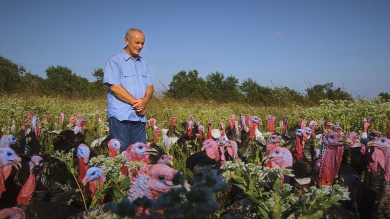 кадр из фильма Eating Animals