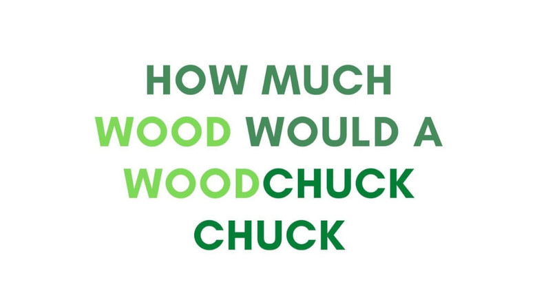 кадр из фильма How Much Wood Would a Woodchuck Chuck: Beobachtungen zu einer neuen Sprache