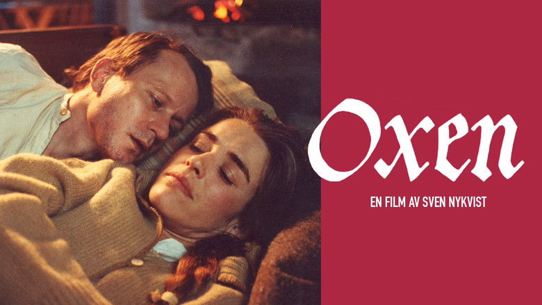 кадр из фильма Бык