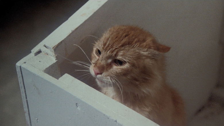 кадр из фильма Незваный