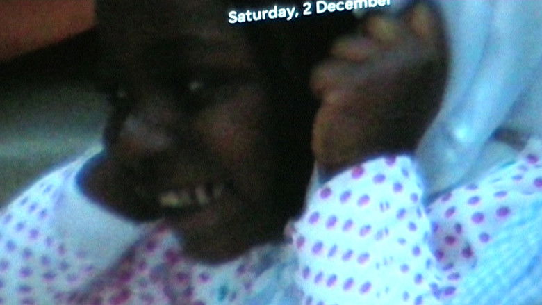 кадр из фильма Aquariums