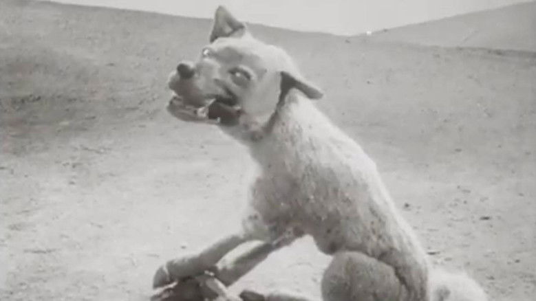 Волк и журавль