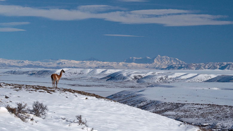 кадр из фильма Unfenced