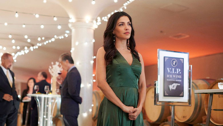 кадр из фильма The Perfect Pairing