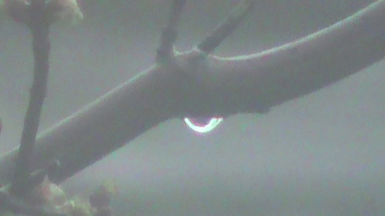 кадр из фильма rainy streets