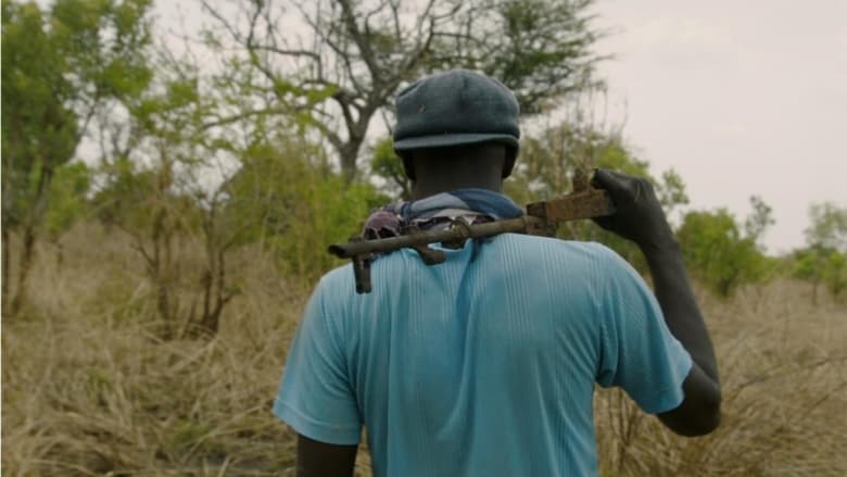 Неправильные элементы