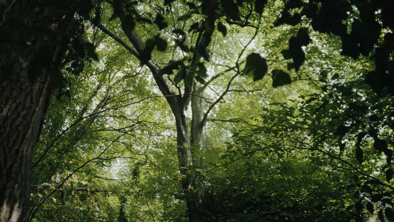 кадр из фильма Wilderness